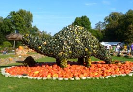 5 Reasons to Visit the World’s Largest Pumpkin Festival in Germany in 2020